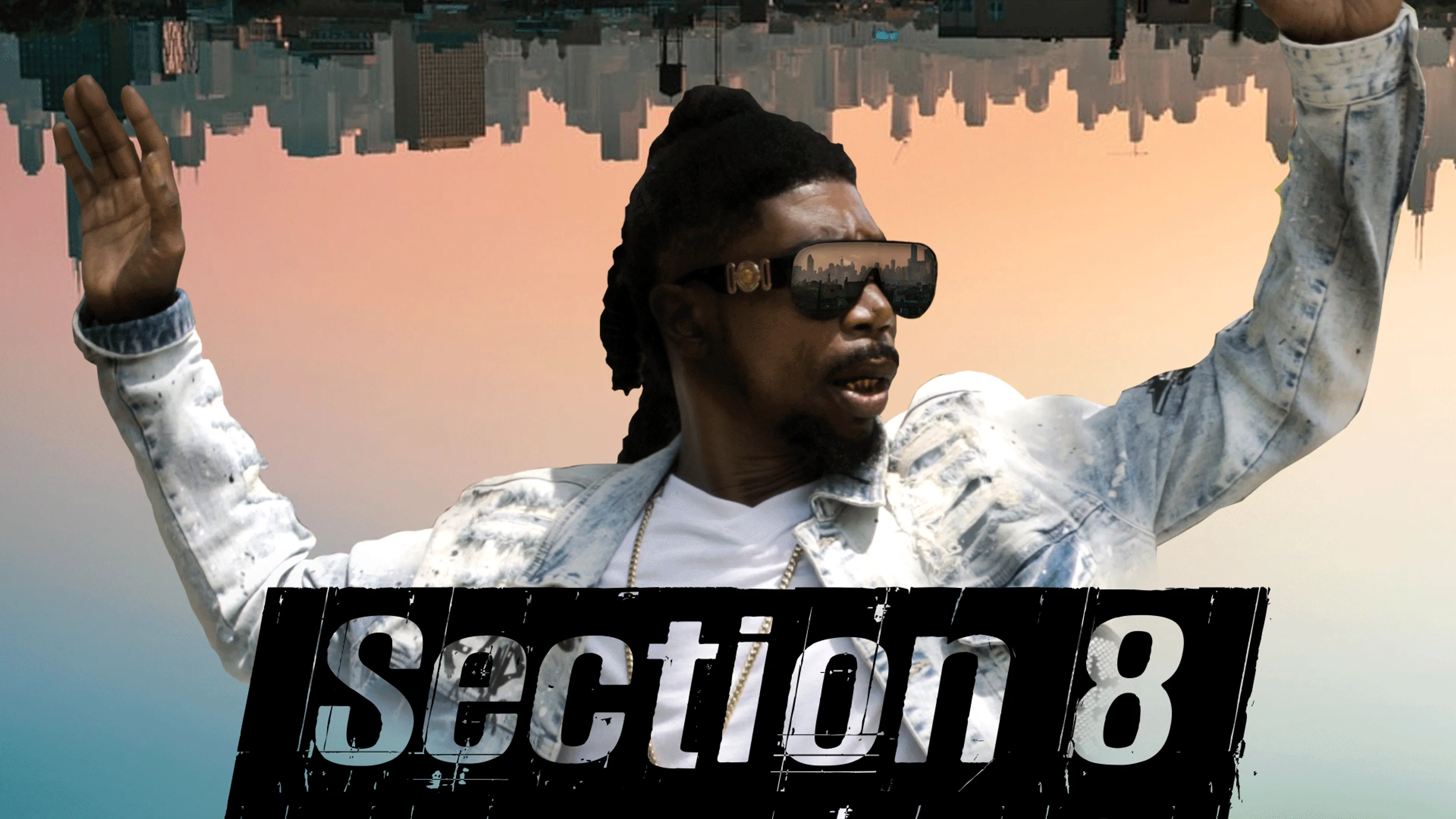 Section 8 poster